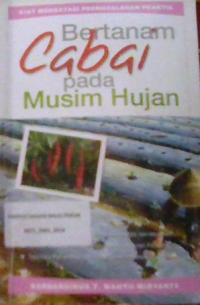 Image of Bertanam Cabai pada Musim Hujan