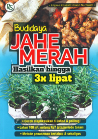 Image of Budidaya JAHE MERAH Hasilkan 3x lipat
