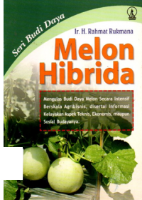 Image of Melon Hibrida